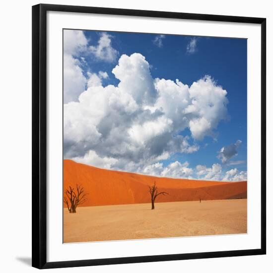 Dead Valley in Namibia-Andrushko Galyna-Framed Photographic Print