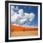 Dead Valley in Namibia-Andrushko Galyna-Framed Photographic Print