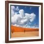 Dead Valley in Namibia-Andrushko Galyna-Framed Photographic Print