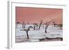 Dead Valley in Namibia-Andrushko Galyna-Framed Photographic Print