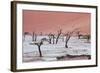 Dead Valley in Namibia-Andrushko Galyna-Framed Photographic Print