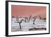 Dead Valley in Namibia-Andrushko Galyna-Framed Photographic Print