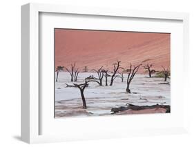 Dead Valley in Namibia-Andrushko Galyna-Framed Photographic Print