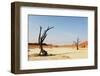 Dead Valley in Namibia-Andrushko Galyna-Framed Photographic Print