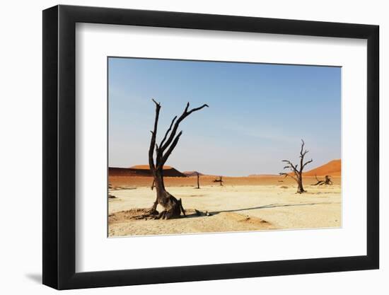 Dead Valley in Namibia-Andrushko Galyna-Framed Photographic Print