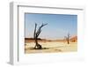 Dead Valley in Namibia-Andrushko Galyna-Framed Photographic Print