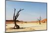 Dead Valley in Namibia-Andrushko Galyna-Mounted Photographic Print