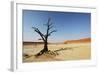 Dead Valley in Namibia-Andrushko Galyna-Framed Photographic Print