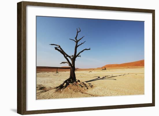 Dead Valley in Namibia-Andrushko Galyna-Framed Photographic Print