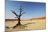 Dead Valley in Namibia-Andrushko Galyna-Mounted Photographic Print