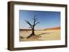 Dead Valley in Namibia-Andrushko Galyna-Framed Photographic Print