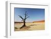 Dead Valley in Namibia-Andrushko Galyna-Framed Photographic Print