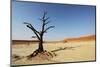 Dead Valley in Namibia-Andrushko Galyna-Mounted Photographic Print