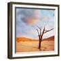 Dead Valley in Namibia-Andrushko Galyna-Framed Photographic Print