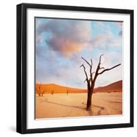 Dead Valley in Namibia-Andrushko Galyna-Framed Photographic Print