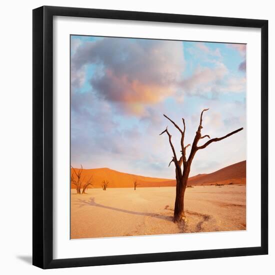 Dead Valley in Namibia-Andrushko Galyna-Framed Photographic Print