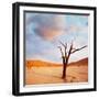 Dead Valley in Namibia-Andrushko Galyna-Framed Photographic Print