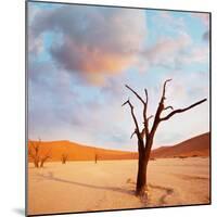 Dead Valley in Namibia-Andrushko Galyna-Mounted Photographic Print