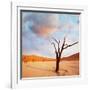 Dead Valley in Namibia-Andrushko Galyna-Framed Photographic Print