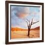 Dead Valley in Namibia-Andrushko Galyna-Framed Photographic Print