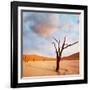 Dead Valley in Namibia-Andrushko Galyna-Framed Photographic Print