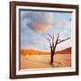 Dead Valley in Namibia-Andrushko Galyna-Framed Photographic Print