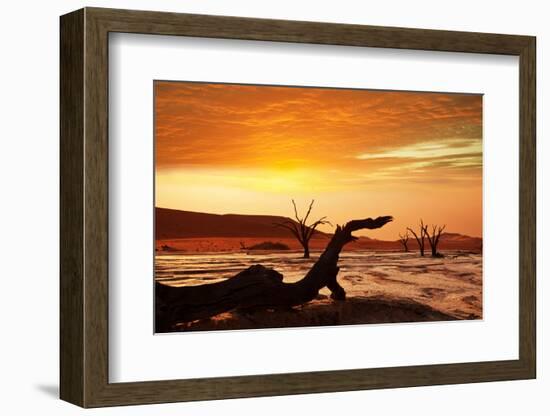 Dead Valley in Namibia-Andrushko Galyna-Framed Photographic Print