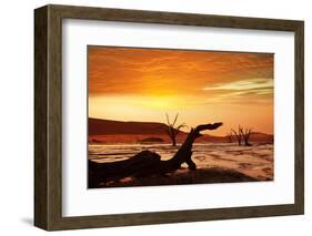 Dead Valley in Namibia-Andrushko Galyna-Framed Photographic Print