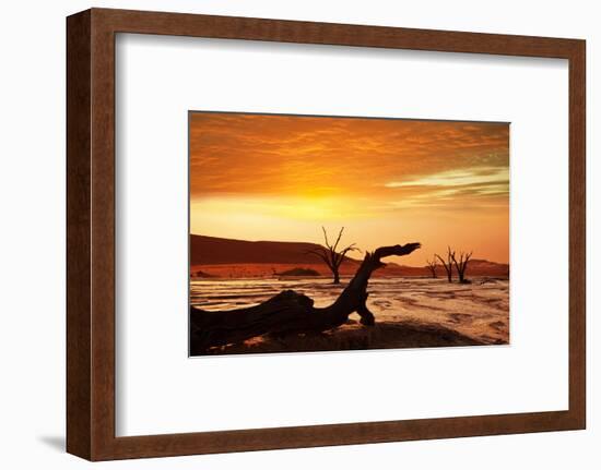 Dead Valley in Namibia-Andrushko Galyna-Framed Photographic Print