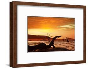 Dead Valley in Namibia-Andrushko Galyna-Framed Photographic Print