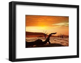 Dead Valley in Namibia-Andrushko Galyna-Framed Photographic Print