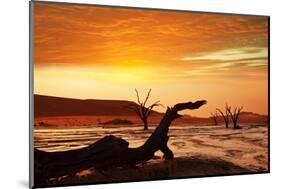 Dead Valley in Namibia-Andrushko Galyna-Mounted Photographic Print