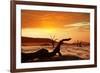 Dead Valley in Namibia-Andrushko Galyna-Framed Photographic Print