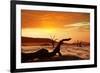 Dead Valley in Namibia-Andrushko Galyna-Framed Photographic Print