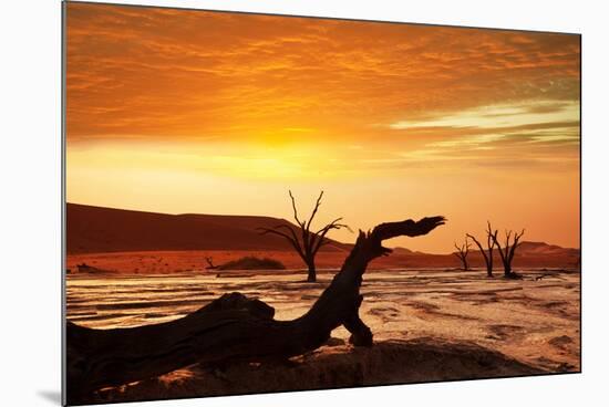 Dead Valley in Namibia-Andrushko Galyna-Mounted Photographic Print