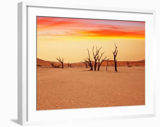 Dead Valley in Namibia-Andrushko Galyna-Framed Photographic Print