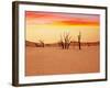 Dead Valley in Namibia-Andrushko Galyna-Framed Photographic Print