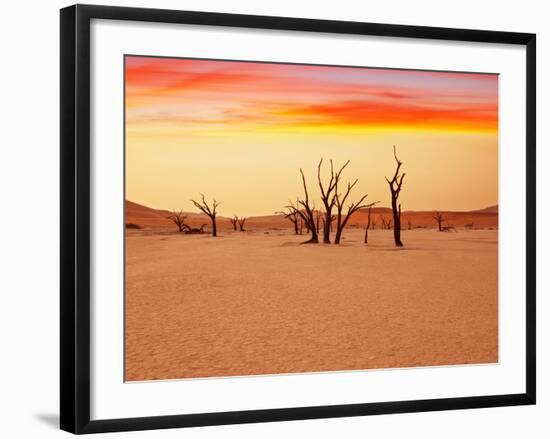 Dead Valley in Namibia-Andrushko Galyna-Framed Photographic Print