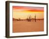 Dead Valley in Namibia-Andrushko Galyna-Framed Photographic Print