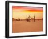 Dead Valley in Namibia-Andrushko Galyna-Framed Photographic Print