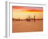 Dead Valley in Namibia-Andrushko Galyna-Framed Photographic Print