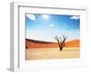 Dead Valley in Namibia-Andrushko Galyna-Framed Photographic Print