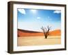 Dead Valley in Namibia-Andrushko Galyna-Framed Photographic Print