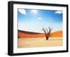 Dead Valley in Namibia-Andrushko Galyna-Framed Photographic Print