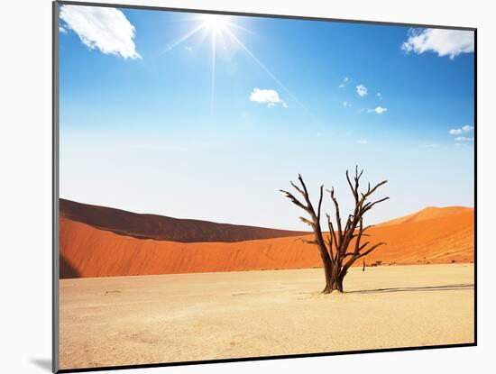 Dead Valley in Namibia-Andrushko Galyna-Mounted Photographic Print