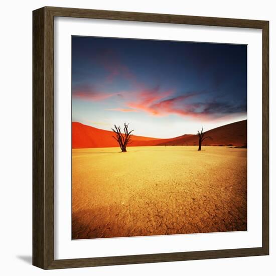 Dead Valley in Namibia-Andrushko Galyna-Framed Photographic Print