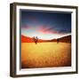 Dead Valley in Namibia-Andrushko Galyna-Framed Photographic Print