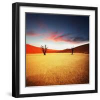 Dead Valley in Namibia-Andrushko Galyna-Framed Photographic Print