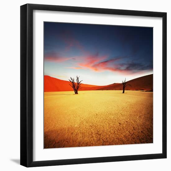 Dead Valley in Namibia-Andrushko Galyna-Framed Photographic Print