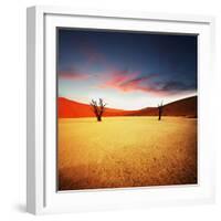 Dead Valley in Namibia-Andrushko Galyna-Framed Photographic Print